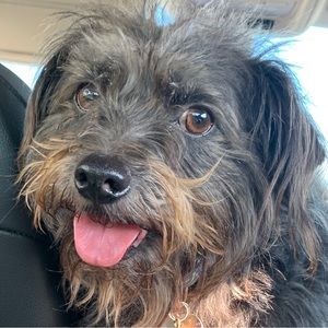 Meet your Posher, Bert